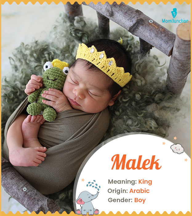 Malek meaning King