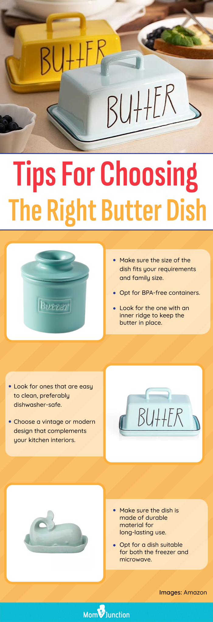 https://www.momjunction.com/wp-content/uploads/2023/09/Tips-For-Choosing-A-Right-Butter-Dish.jpg