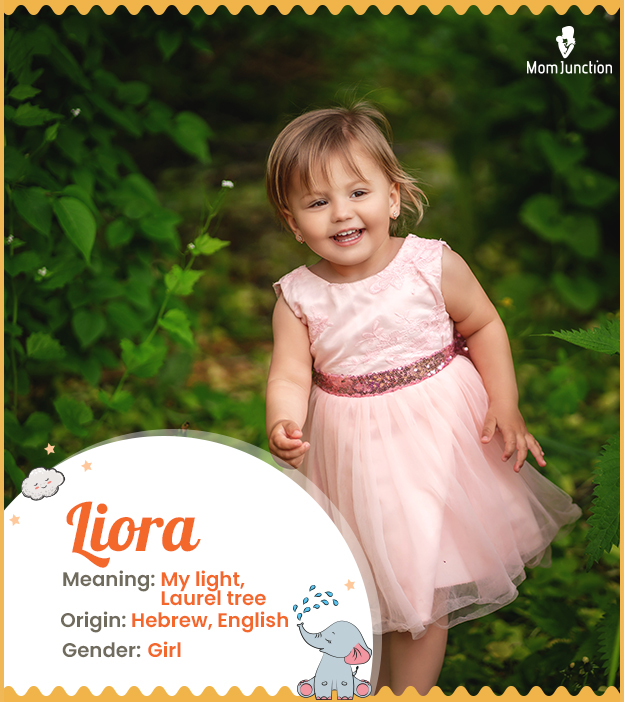 Liora means light or laurel tree