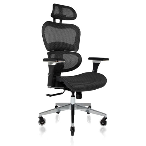https://www.momjunction.com/wp-content/uploads/2023/10/Nouhaus-Ergonomic-Office-Chair.jpg
