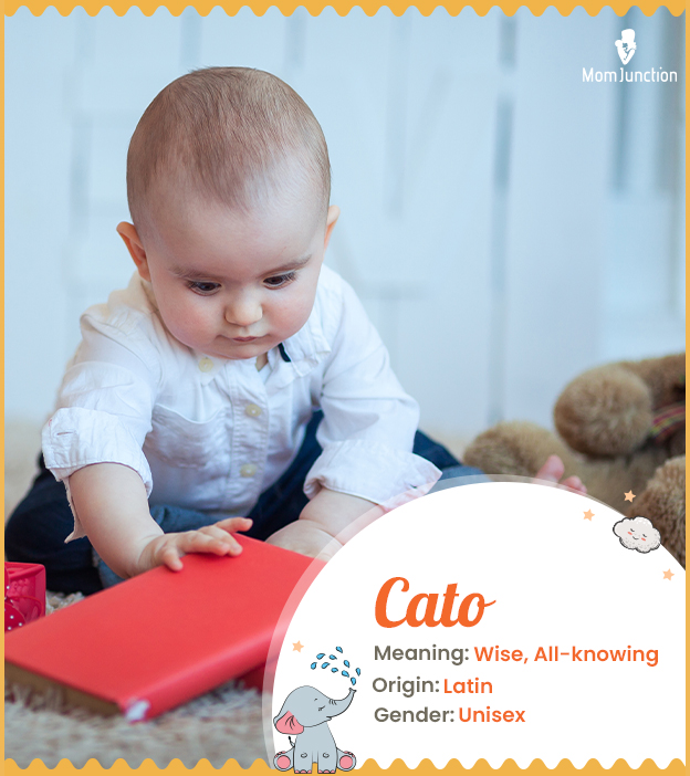 Cato means wise