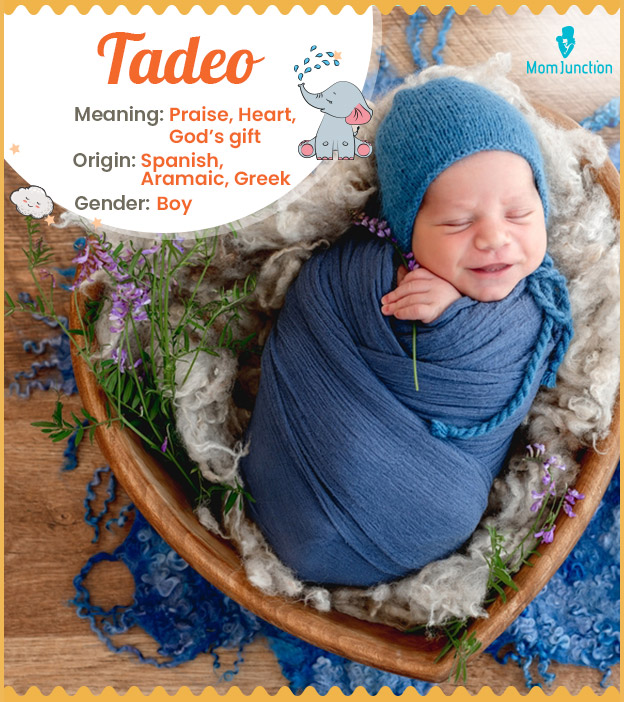 Tadeo, meaning heart or God’s gift