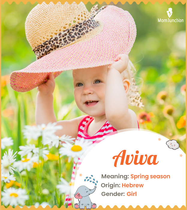Aviva means spring