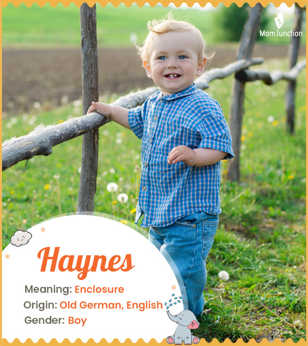 Haynes means enclosure.