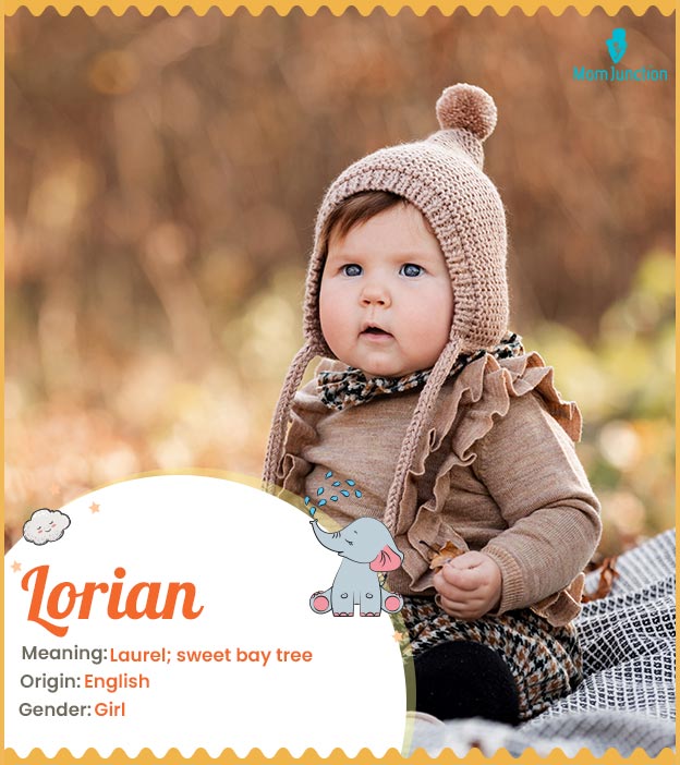 Lorian, means Laurel or sweet bay tree.