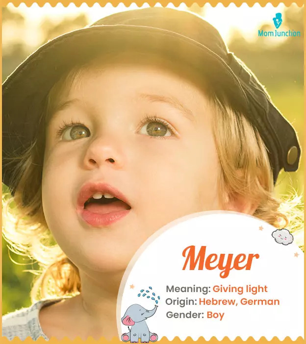 Meyer Name Meaning, Origin, History, And Popularity MomJunction