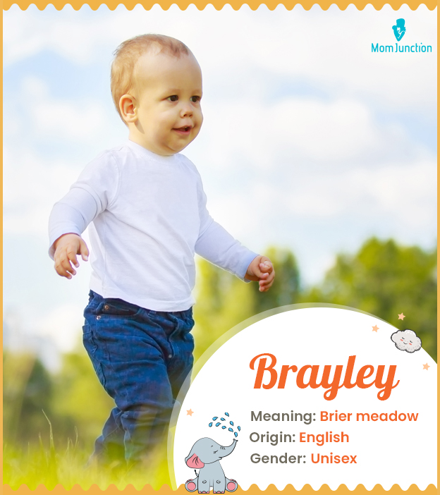Brayley means a brier meadow
