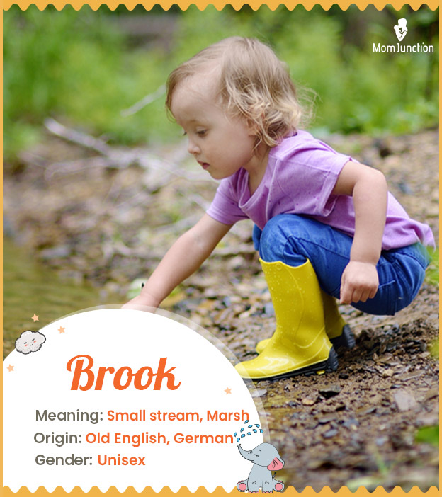 Brook means someone who lived by a brook