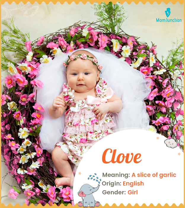 Clove, a nature-inspired name for girls.