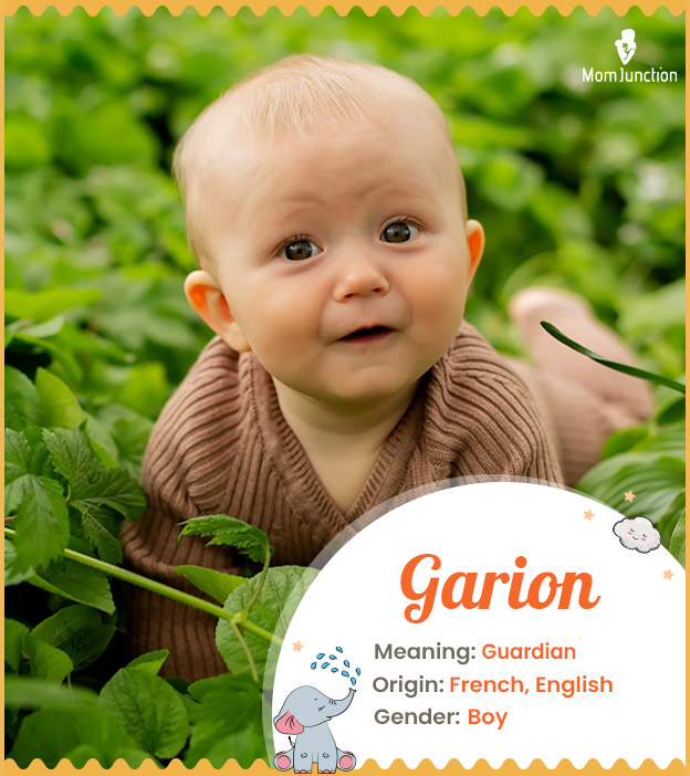 Garion is a fictional name