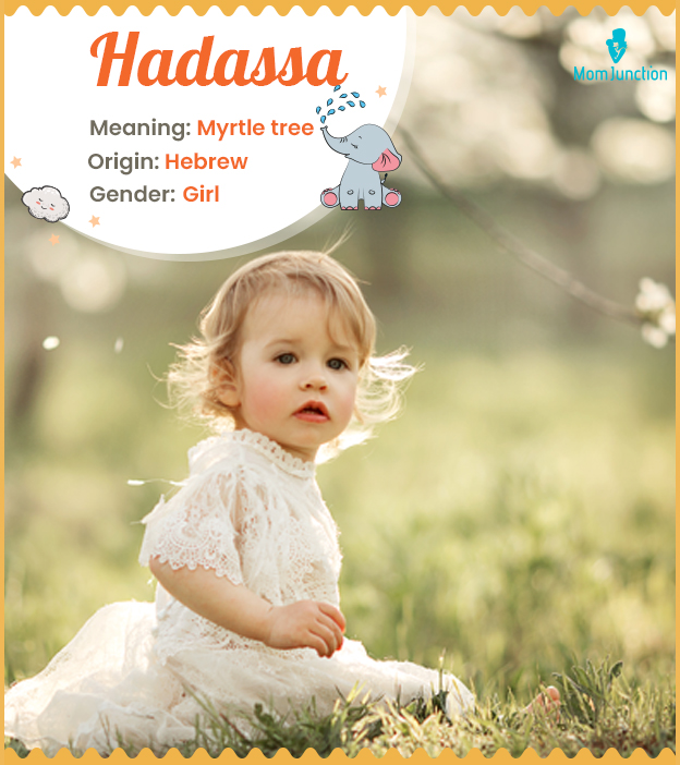 Hadassa, meaning a beautiful myrtle tree