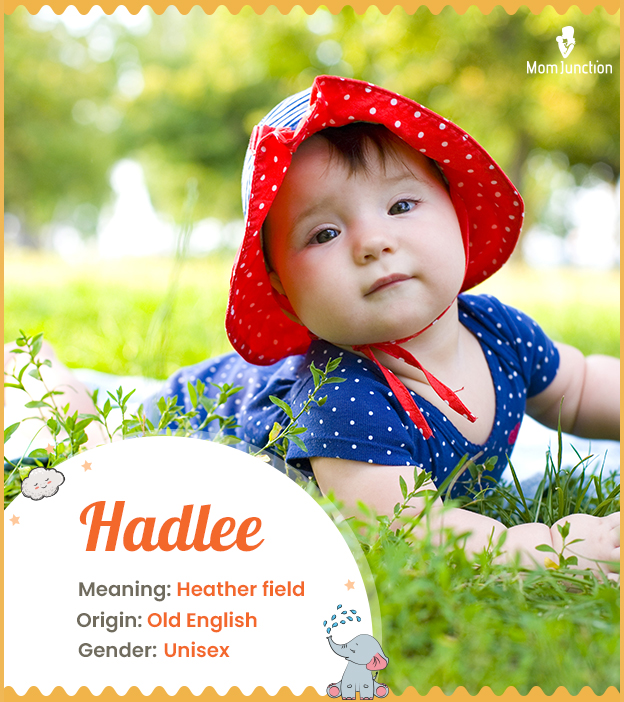 Hadlee means heather field