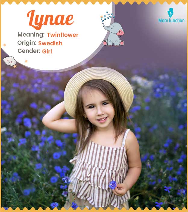 Lynae means Linnaea