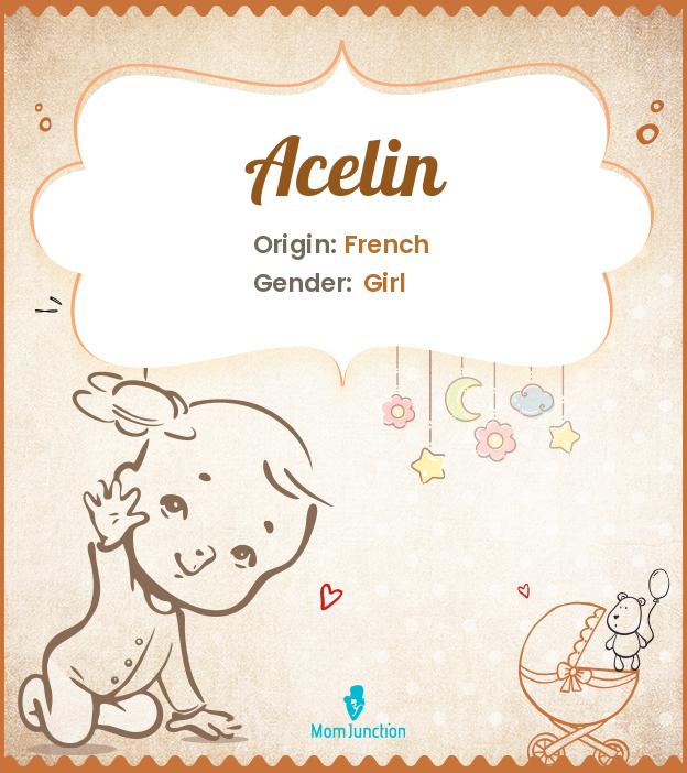 acelin acelin