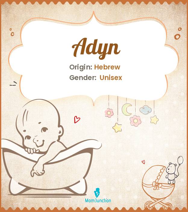 adyn