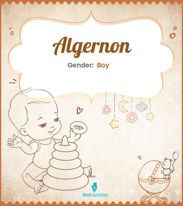 Algernon Baby Name Meaning, Origin, Popularity