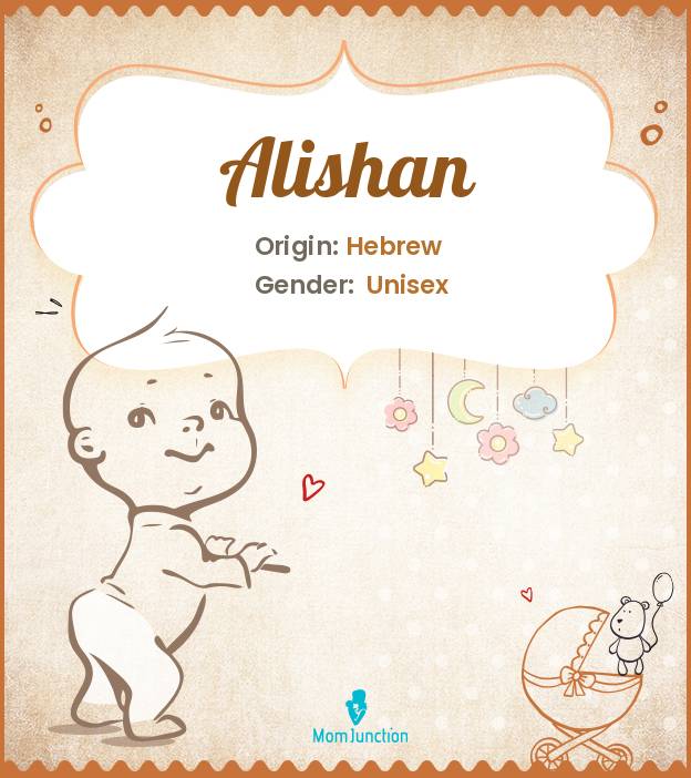 Alishan – Online Shopping site in India