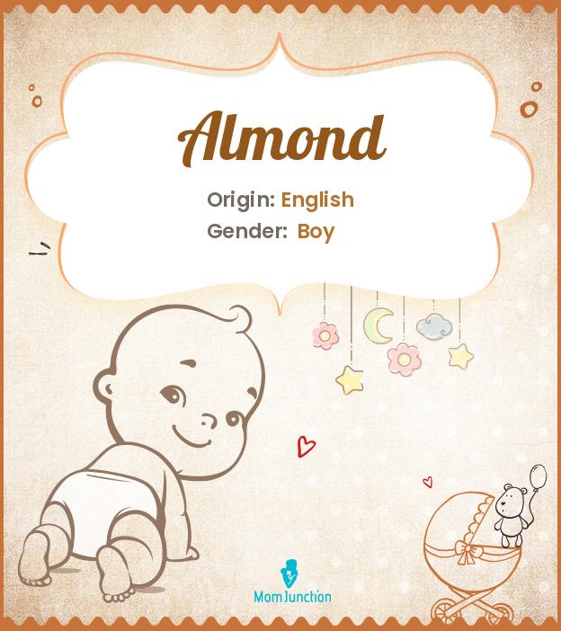Almond Baby Name: Meaning, Origin, Popularity