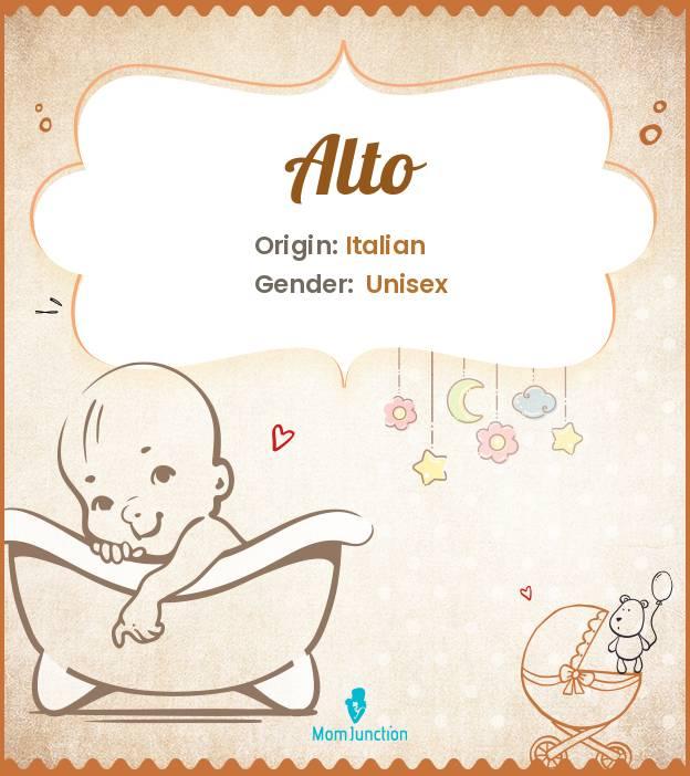 Alto Baby Name Meaning, Origin, Popularity