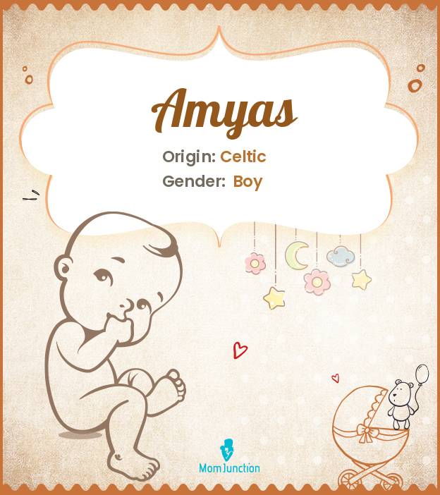 amyas