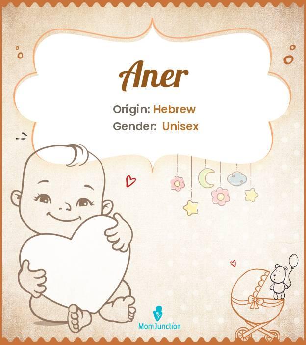 Aner