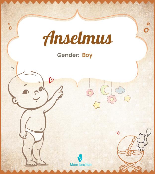 anselmus anselmus
