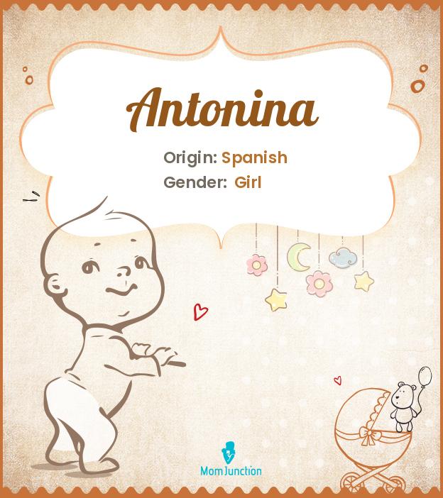 Antonina Baby Name: Meaning, Origin, Popularity