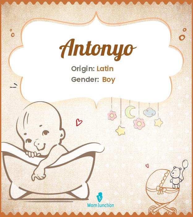 antonyo antonyo
