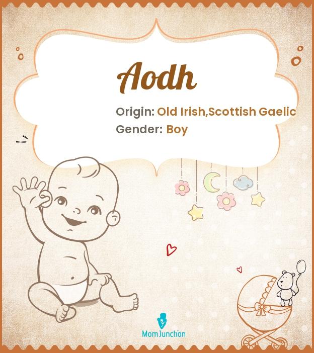 Aodh