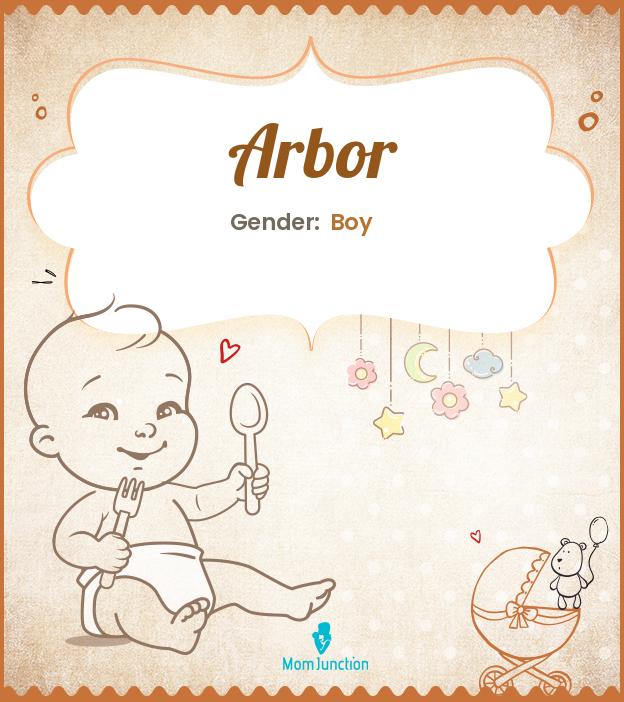 Arbor Baby Name Meaning, Origin, Popularity
