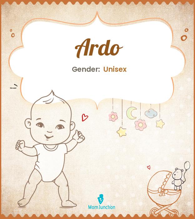 ardo