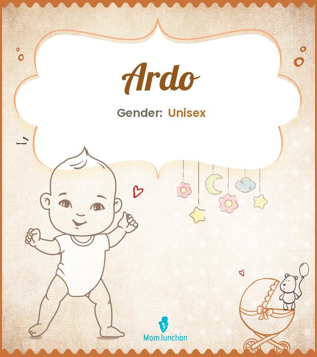 ardo