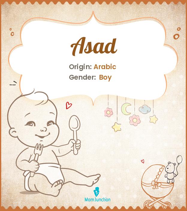 asad-baby-name-meaning-origin-popularity