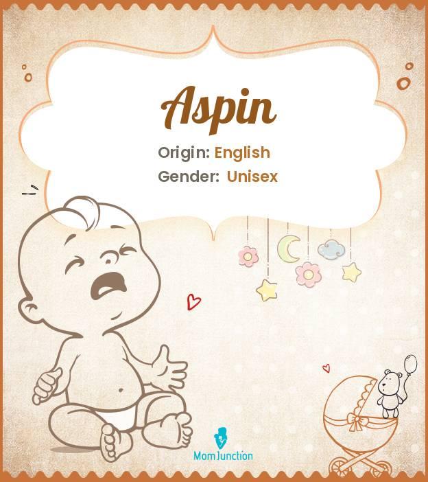 aspin