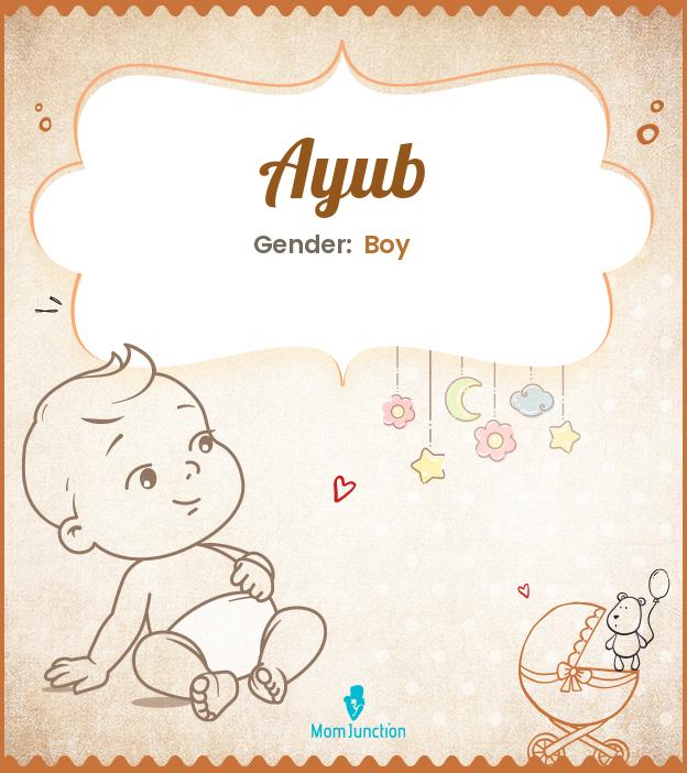 ayub