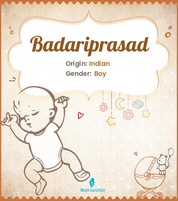 Badariprasad Badariprasad