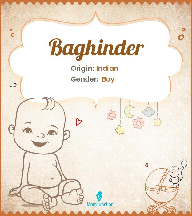 Baghinder Baghinder