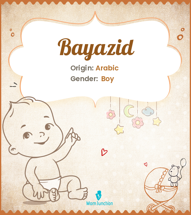 bayazid