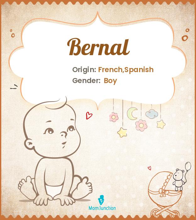 Origin, Meaning & Other Facts About Baby Name Bernal