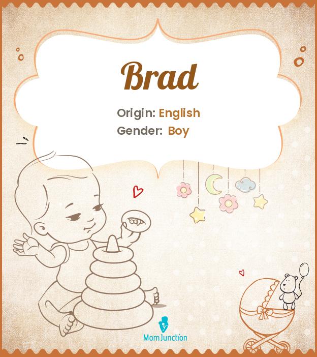 Brad Name Meaning, Origin, History, And Popularity