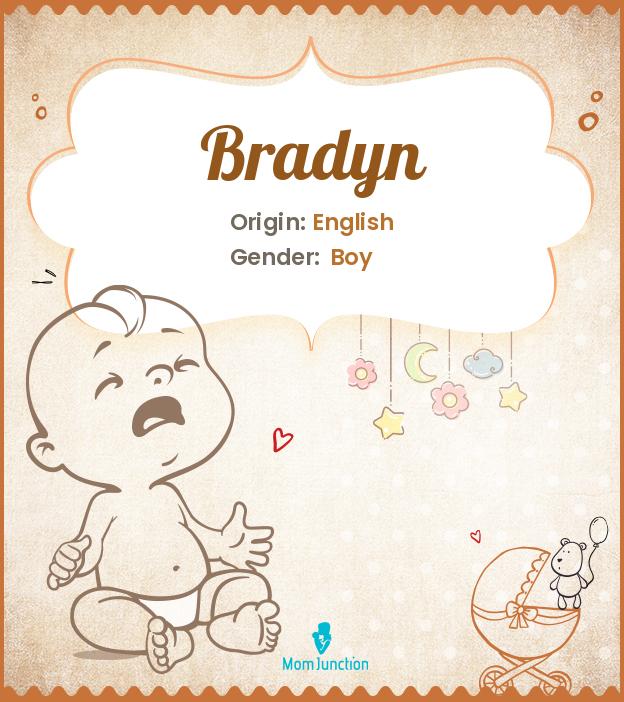 bradyn