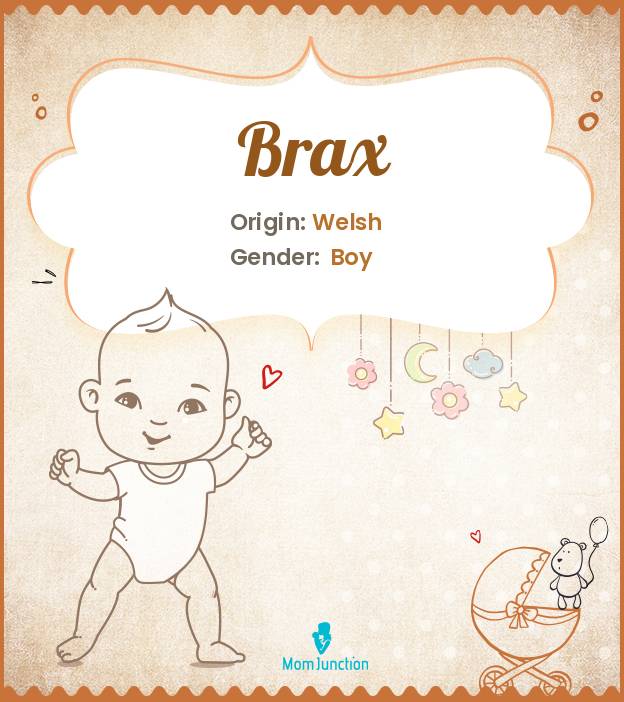 Brax Name Meaning, Origin, History, And Popularity