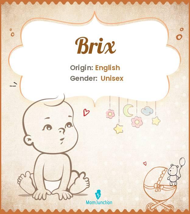 Origin, Meaning & Other Facts About Baby Name Brix MomJunction