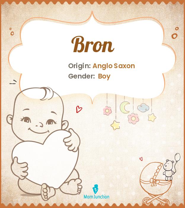Origin Meaning Other Facts About Baby Name Bron