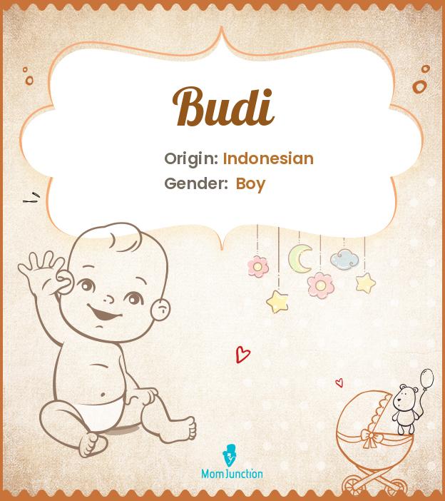 budi