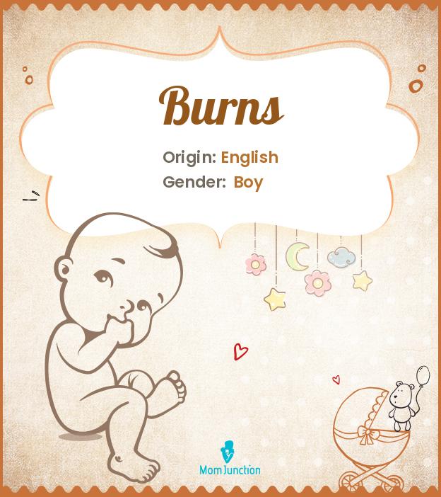 Origin, Meaning & Other Facts About Baby Name Burns MomJunction