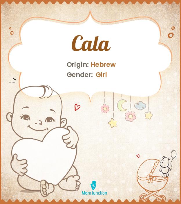 Cala Cala