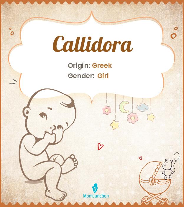 Callidora