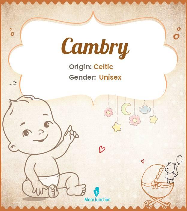 Cambry Name Meaning, Origin, History, And Popularity MomJunction