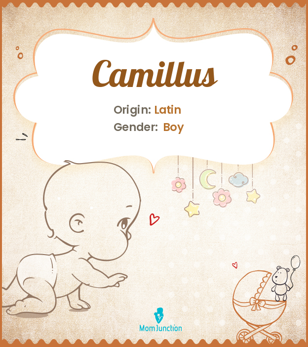 camillus
